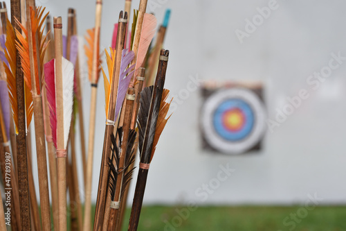 Obraz na płótnie handmade arrows for bow on blur background target