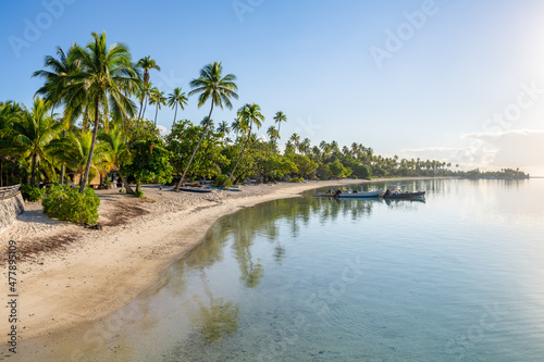 Fotografie, Obraz Tropical beach with palm trees on Moorea island, French Polynesia