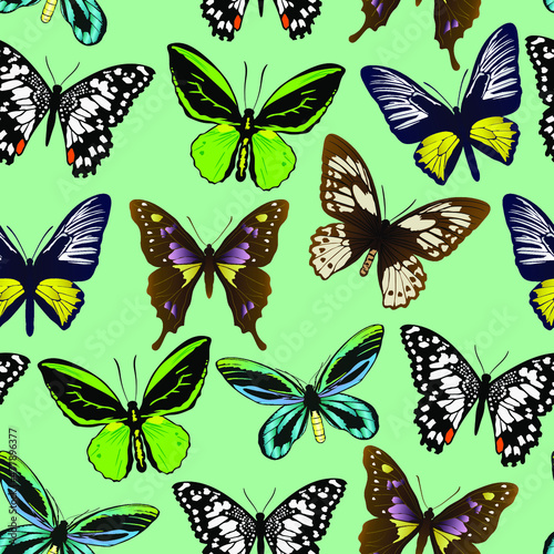 seamless pattern with butterflies © Thomas