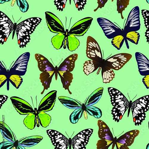 seamless pattern with butterflies