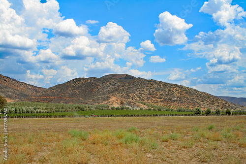 Winery in Valle de Guadalupe