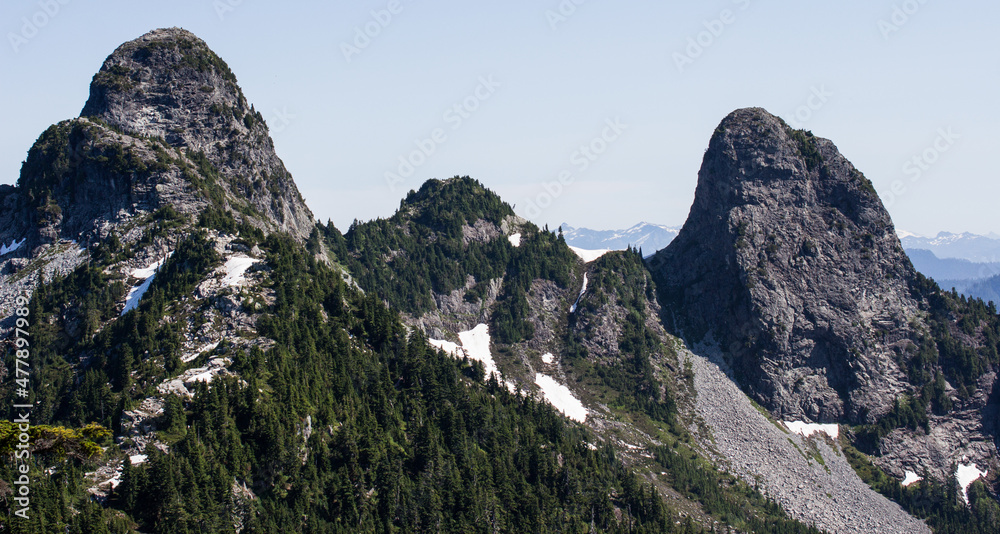 Obraz premium the lions summit