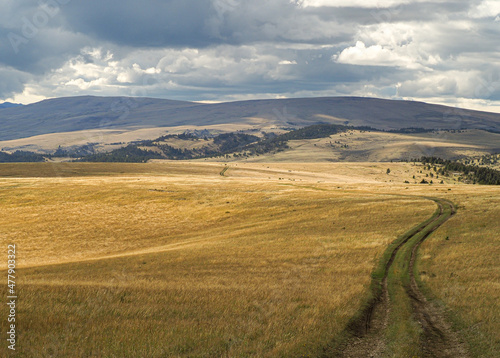Field road cuts through Montana prairie with darkening skies and hills beyond