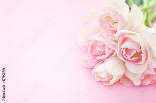 Blossoming white and light pink tulips, daffodils and spring flowers festive background, bright springtime bouquet floral card, selective focus