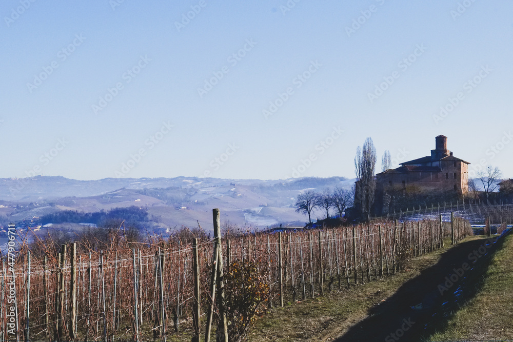 Between the Cannubi vineyards in Barolo in December