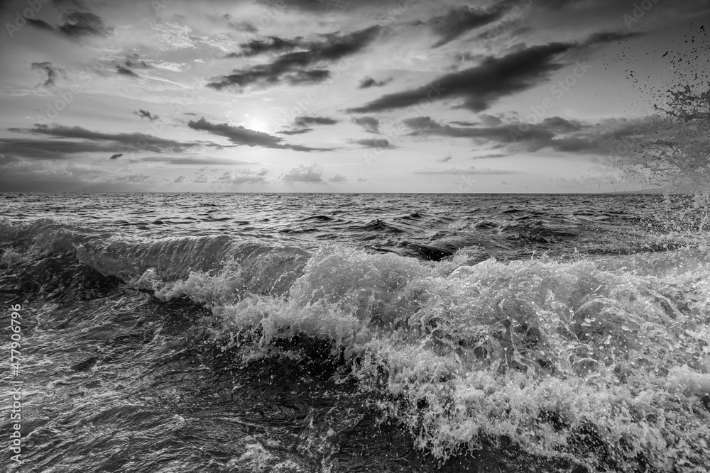 Ocean Beach Wave Sunset Black And White