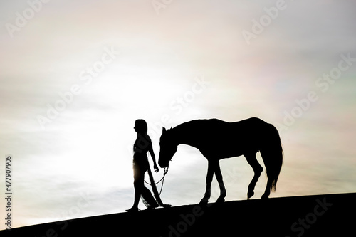 Young Female Rider And Her Horse