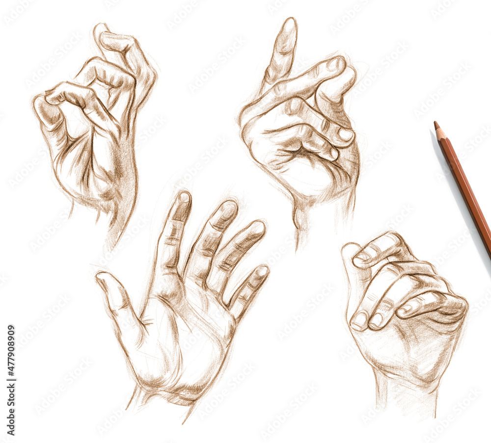 Obraz premium Sketches of human hands from nature. Drawing with pencil. Set