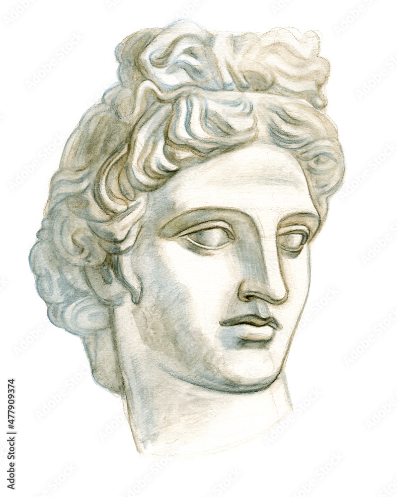 Antique plaster head Apollo. Academic freehand pencil drawing