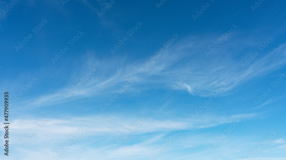 WIspy clouds and blue sky ideal for background or sky substitution - obrazy, fototapety, plakaty 