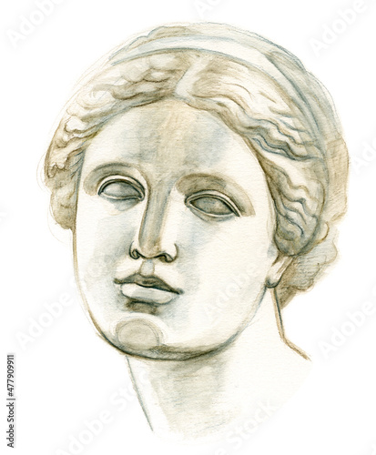 Antique plaster head Venus. Academic freehand pencil drawing