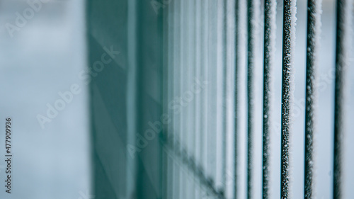 Background. Metal fence in winter. Close-up. The iron fence is frozen.