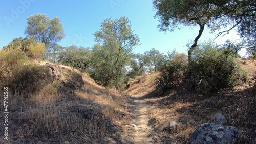 Via de la Plata, a sinlge track sunken lane (hollow way) between Guillena and Castilblanco, province of Seville, Andalusia, Spain - dolly move forward photo