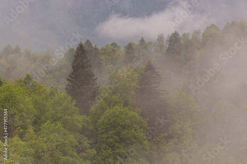 Julian Alps rainy and misty landscape near Bovec village, Slovenia