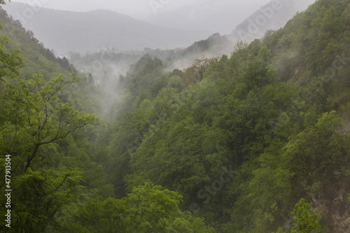 Misty forest of Tolmin Gorges (Tolminska Korita), Slovenia photo