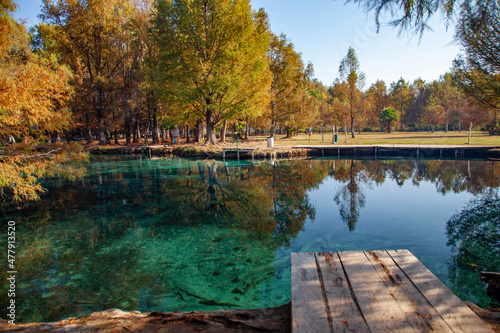 Media Luna lagoon in Rioverde, San Luis Potosi, Mexico photo