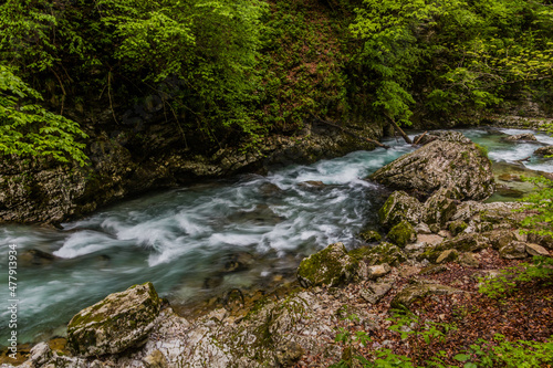 River Radovna in Vintgar gorge near Bled  Slovenia