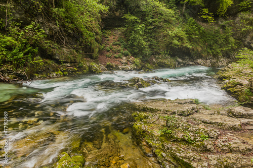 River Radovna in Vintgar gorge near Bled, Slovenia