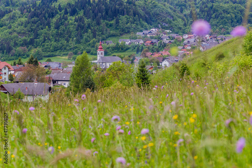 View of Spodnje Gorje village near Bled, Slovenia photo