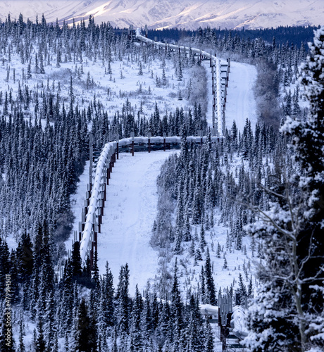 Trans-Alaska Pipeline System. Crude Oil Pipeline. photo