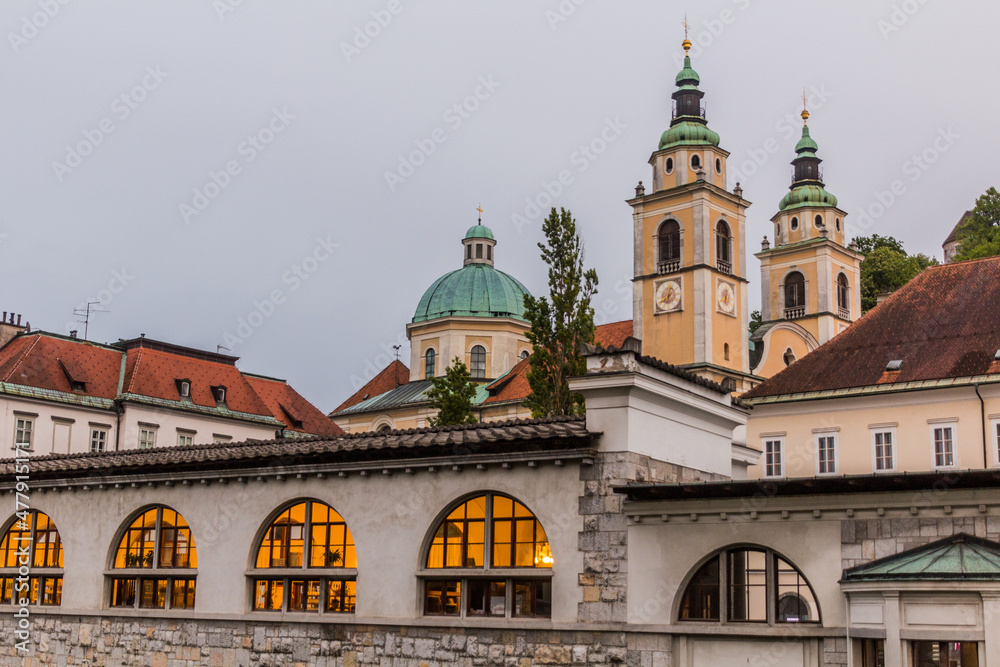 Plecnik arcade market building and the Cathedral in Ljubljana, Slovenia