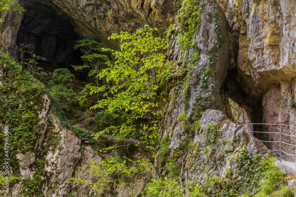 Rocks near Skocjanske jame (Skocjan Caves), Slovenia