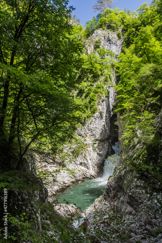 Deep gorge near Skocjanske jame (Skocjan Caves), Slovenia