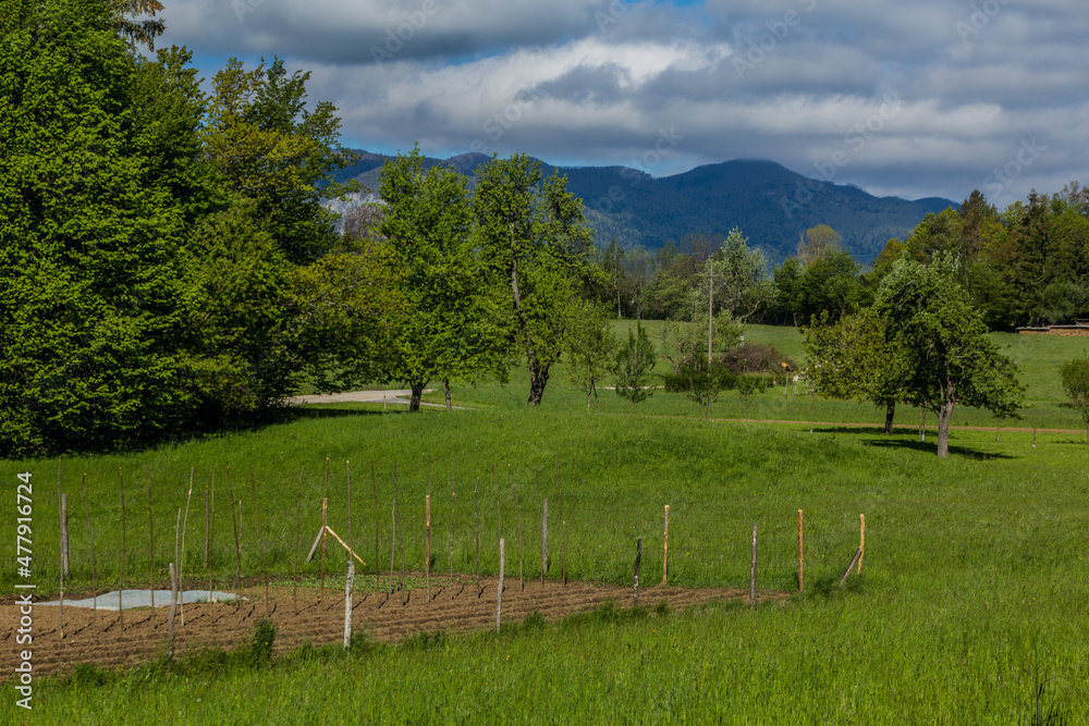 Landscape near Postojna town, Slovenia