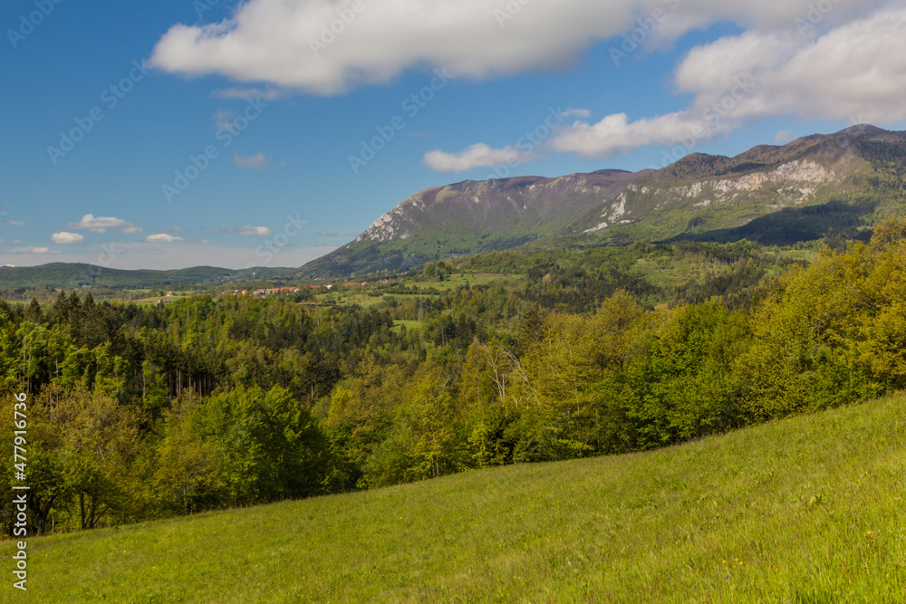 Landscape near Predjama castle, Slovenia