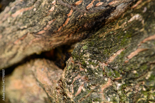 lichen on stone,  nature texture, background, texture background  © liligluck
