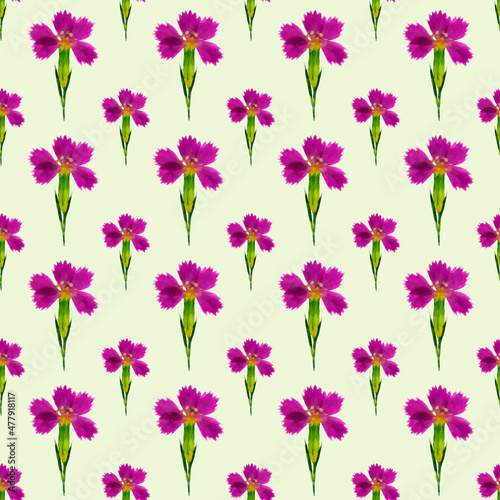 Carnation. Illustration, texture of flowers. Seamless pattern for continuous replication. Floral background, photo collage for textile, cotton fabric. For wallpaper, covers, print.