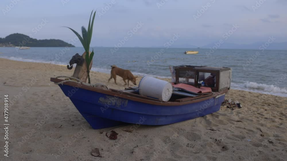 Beach and small open fishing boat with a stray dog circeling around in 4 k Res - Koh Samui Island - Thailand Beach and small open fishing boat with a stray dog circeling around in 4 k Res - Koh Samui Island - Thailand