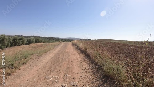 Via de la Plata, dirt road on olive groves after El Cañuelo Alto in direction to Castilblanco, province of Seville, Andalusia, Spain - dolly forward photo