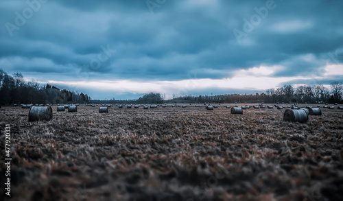 gloomy landscape on a field with rolls of hay