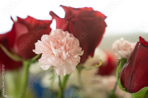 Fototapeta Naklejka Na Ścianę i Meble -  Pink carnation and red roses