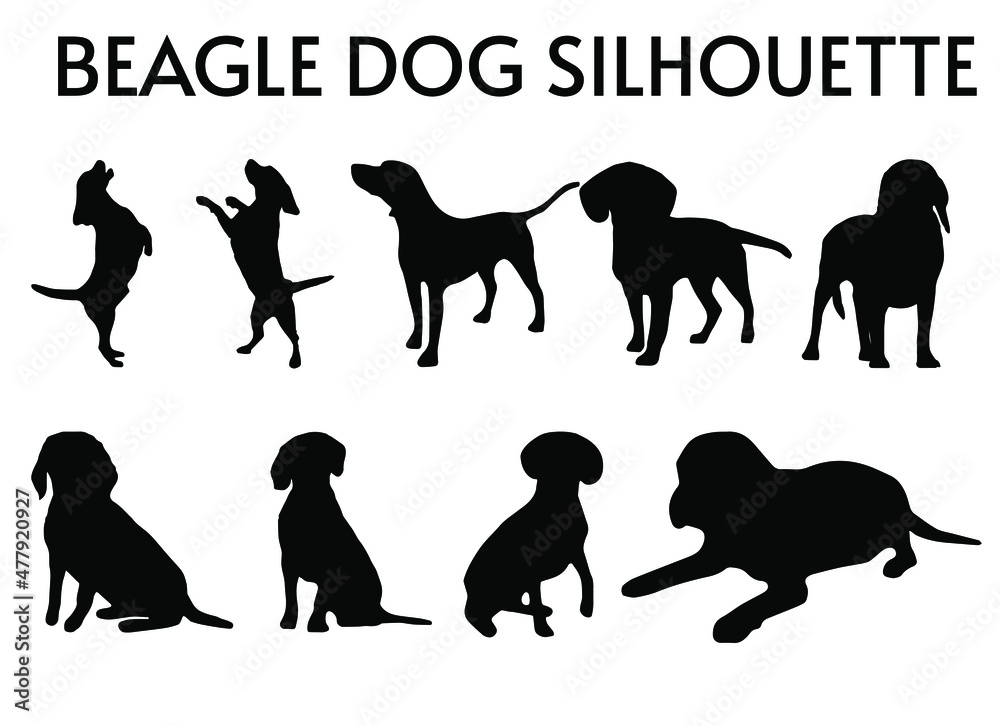 Obraz 9 Set of Beagle Dog Silhouettes vector, isolated black silhouette of a dog, collection, Animal Silhouette, Dog breeds vector silhouettes set