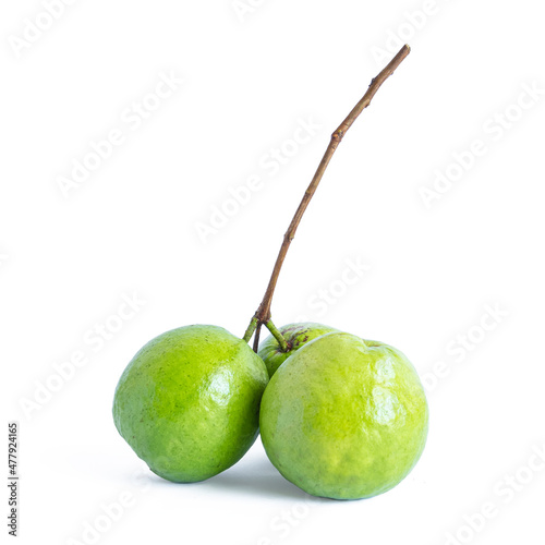 Common guava fruit isolated on a white background photo