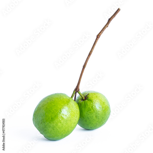 Common guava fruit isolated on a white background photo