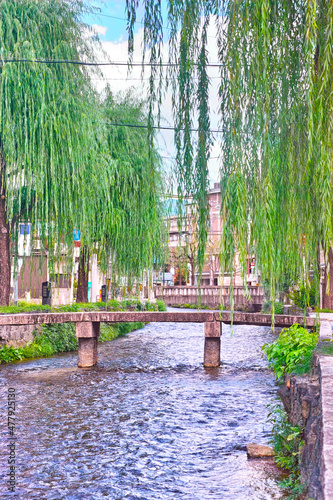 京都市東山区の白川に掛かる一本橋と柳の葉の景観