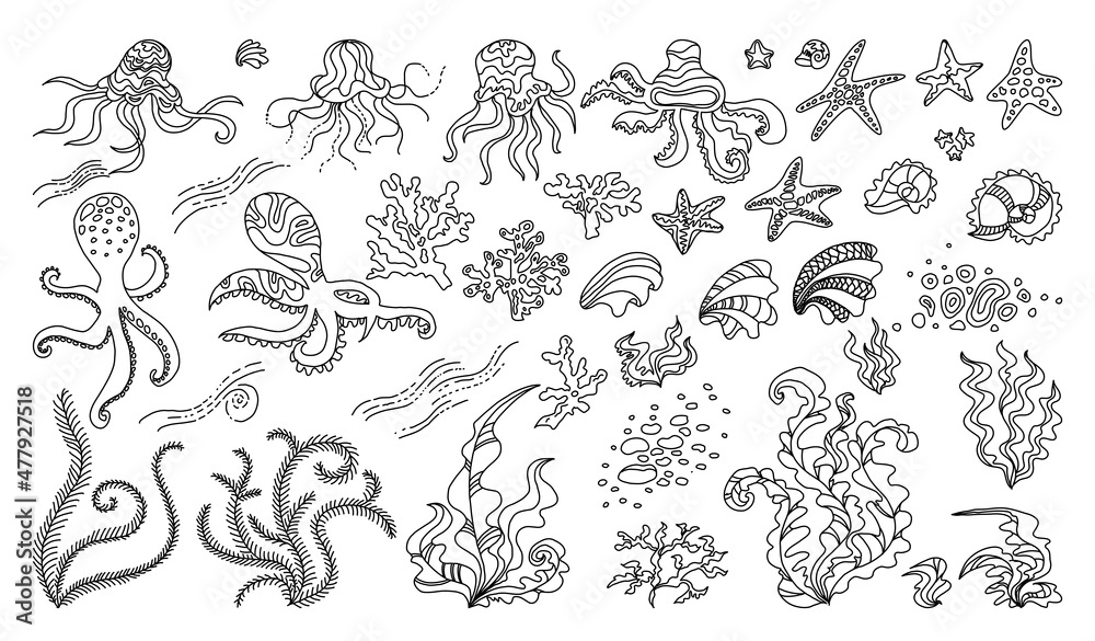 Underwater doodle illustration. Vector set - illustration with sea and ...