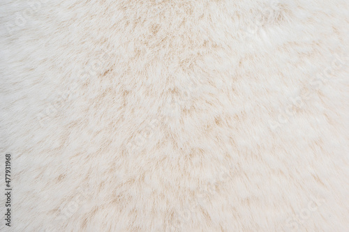 beautiful abstract white fur background texture