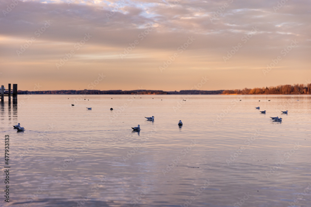 Chiemsee - Der Chiemsee bei Bernau im Abendlicht