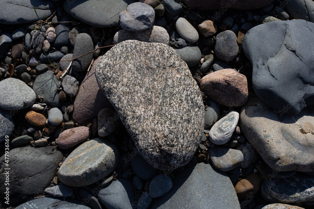 Autumn, the shallow stone-sandy bottom of a mountain river in the rays of the morning sun, close-up. Autumn, the shallow stone-sandy bottom of a mountain river in the rays of the morning sun, close-up.