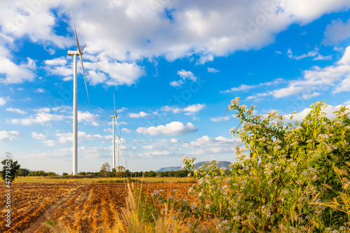 Landscape of Wind turbine arranged in a row on a mountain with blue sky background and flower is foreground in Sikhio District, Nakhon Ratchasima, Thailand photo