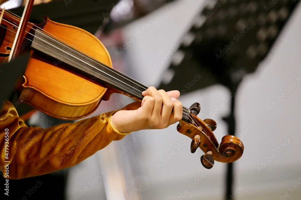 Fototapeta Violin playing