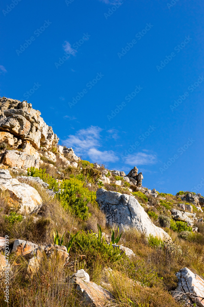 Rugged mountain landscape with fynbos flora in Cape Town Rugged mountain landscape with fynbos flora in Cape Town