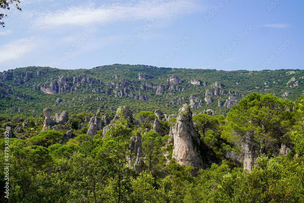 dolomites of Moureze landscape Herault with rock peaks in forest french