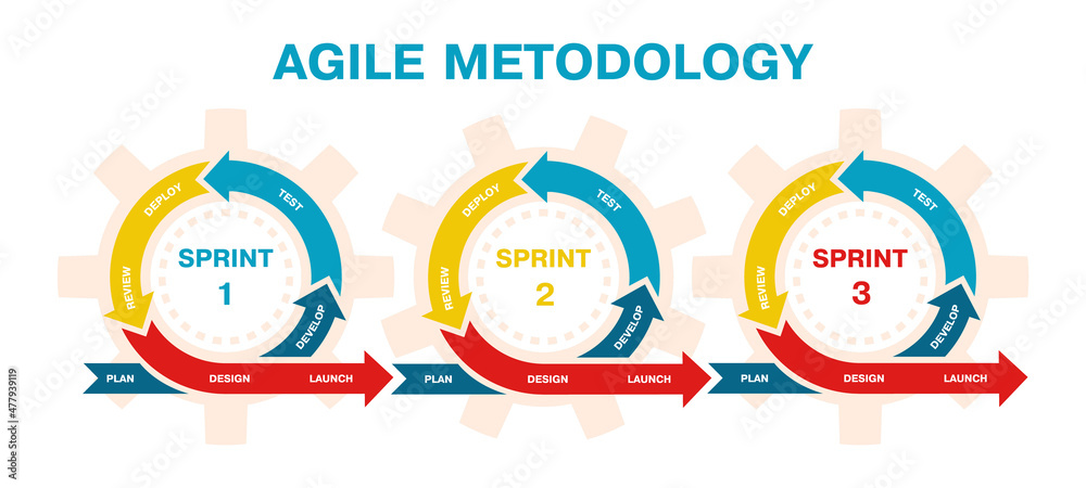 Agile project management, development methodology infographic. Agile software development lifecycle process sprints vector illustration. Agile development diagram