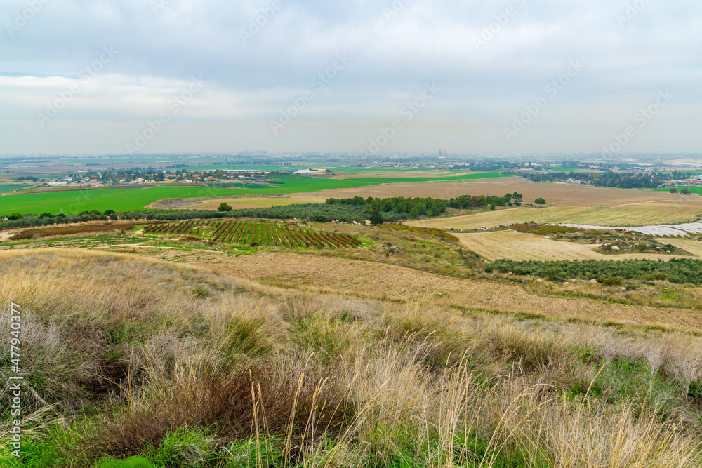 Landscape and countryside from Tel Gezer