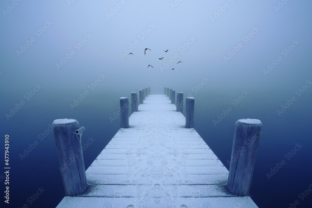 Obraz premium Steg im Nebel